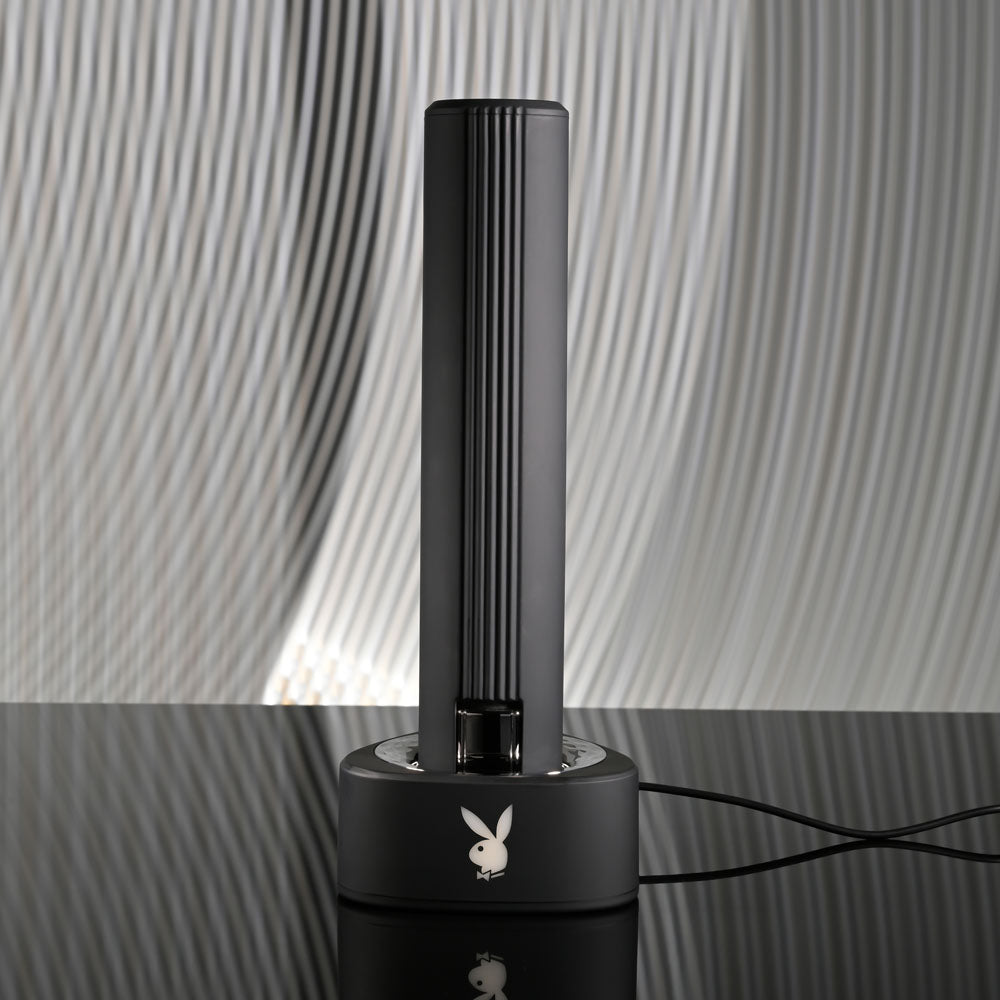 Playboy Pleasure PLEASURE ZONE - Club X