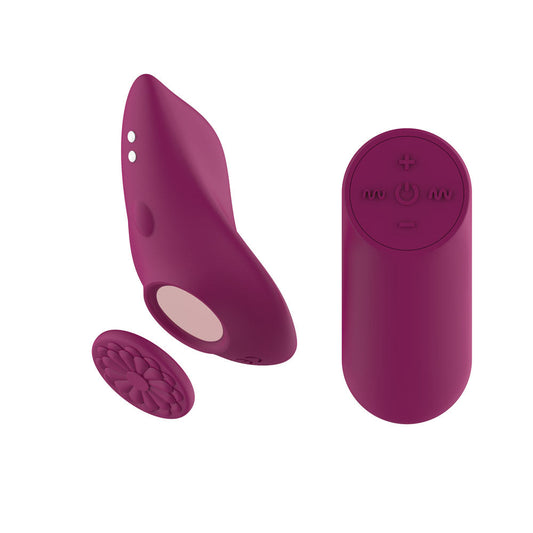 Passion Play Magnet Panty Vibe with Remote - Purple USB Rechargeable Panty Vibrator with Wireless Remote Control Passion Play
