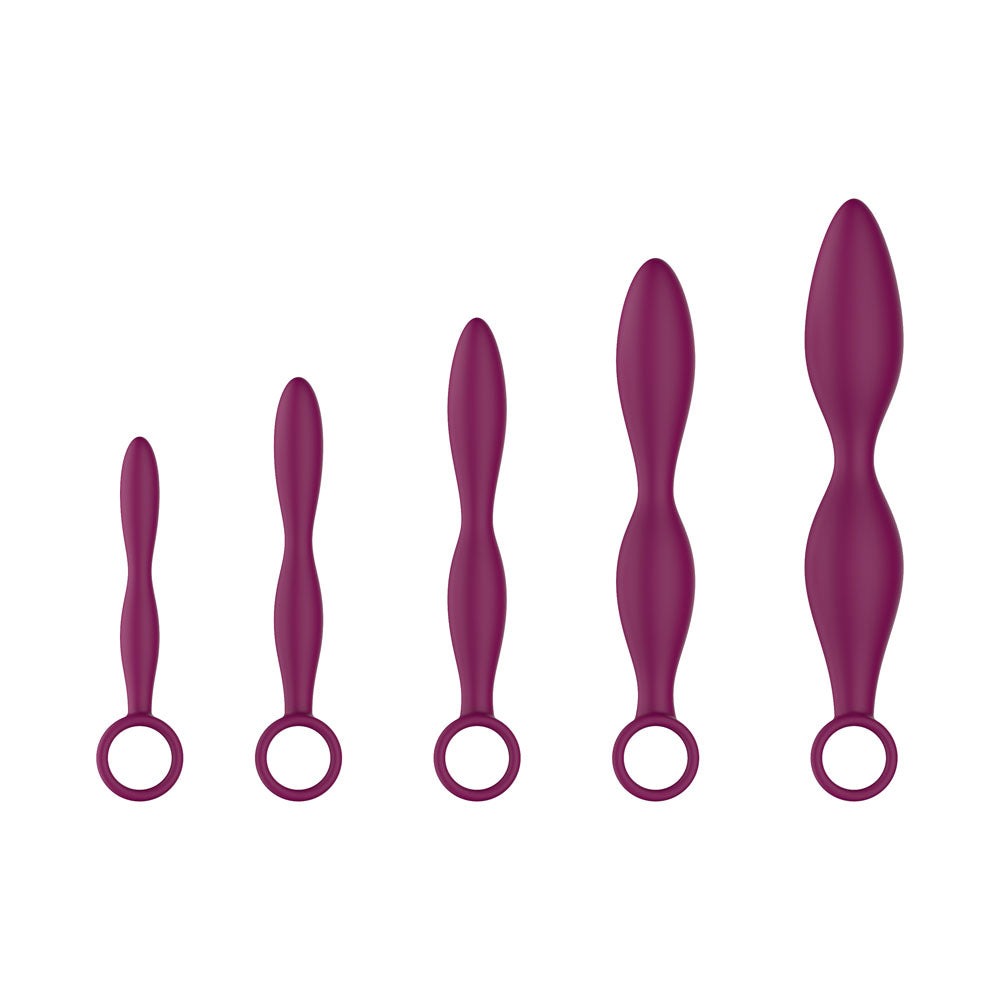 Passion Play Silicone Dilator Set - Purple Dilator Kit - Set of 5 Sizes Passion Play