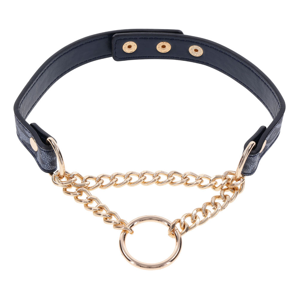 Sex & Mischief Cougar Day Collar - Navy Blue/Gold Collar Blue - Club X