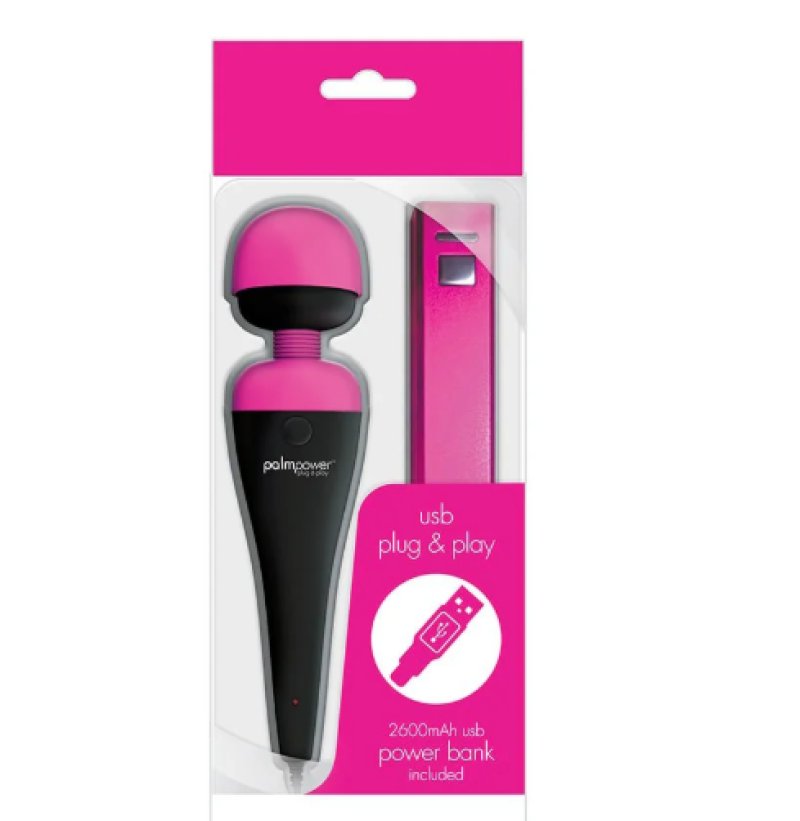 PalmPower Massage Wand Plug & Play USB BMS