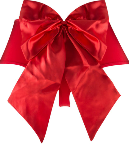 Sexy Bow Vibrating Panty (Red)  - Club X
