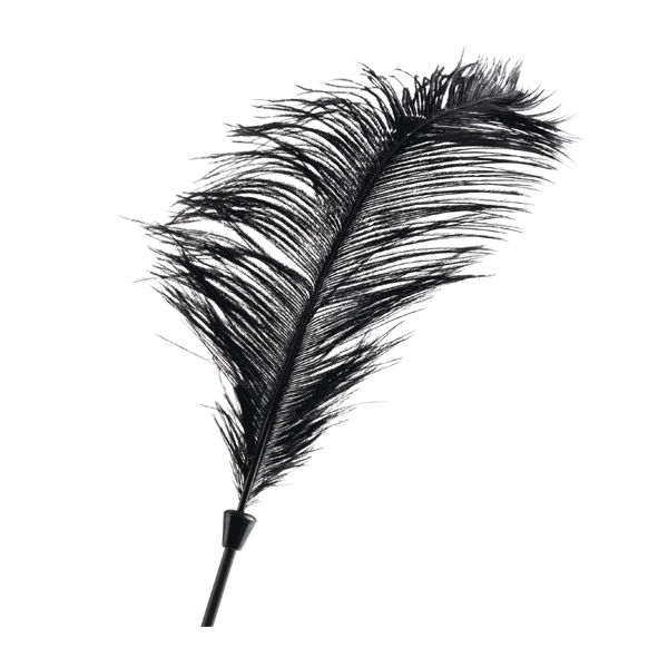 Fetish Fantasy Love Plumes - Club X