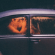 Sex In Public: Are You Going To Get Arrested?