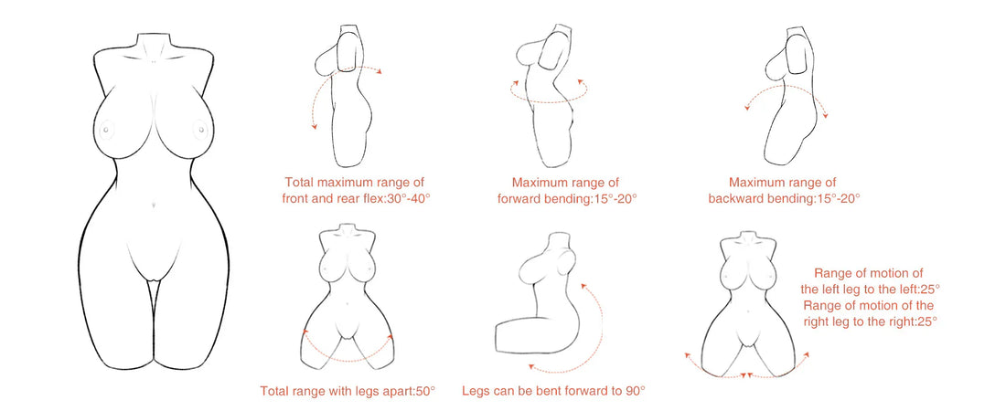 Tantaly sex doll torso skeleton movement range diagram