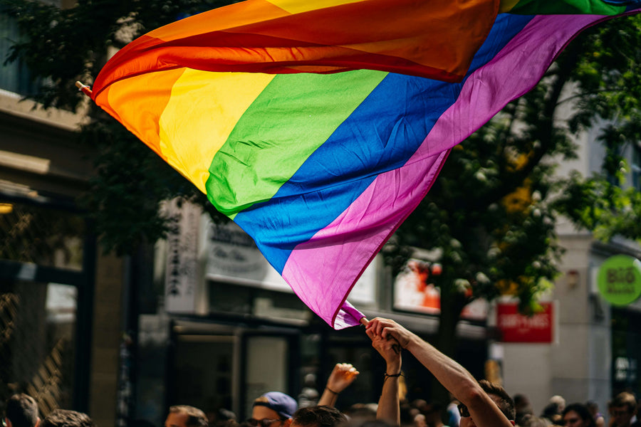 Pride Month Spotlight: Inclusive Sex Toys for Every Body