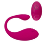 Long-Distance Adult Toys
