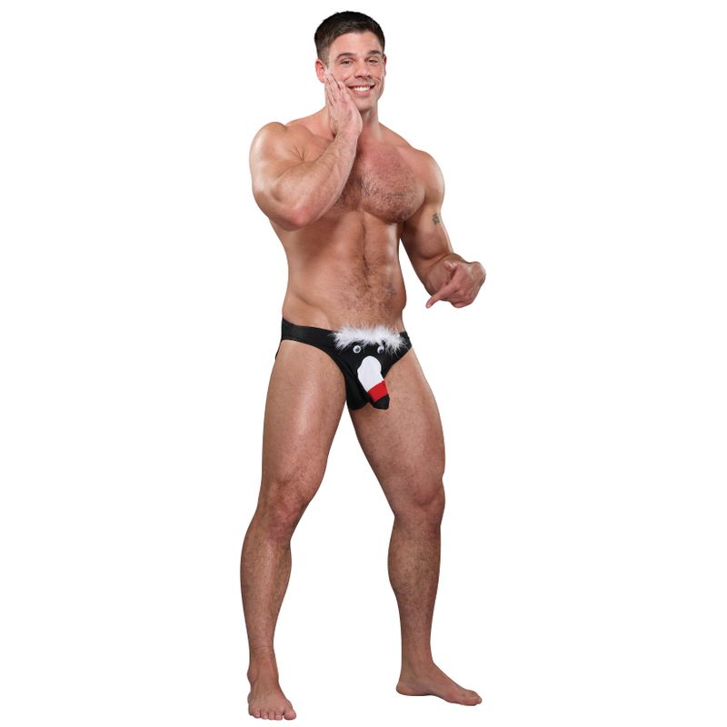 Toucan Bikini Novelty Underwear Male Power