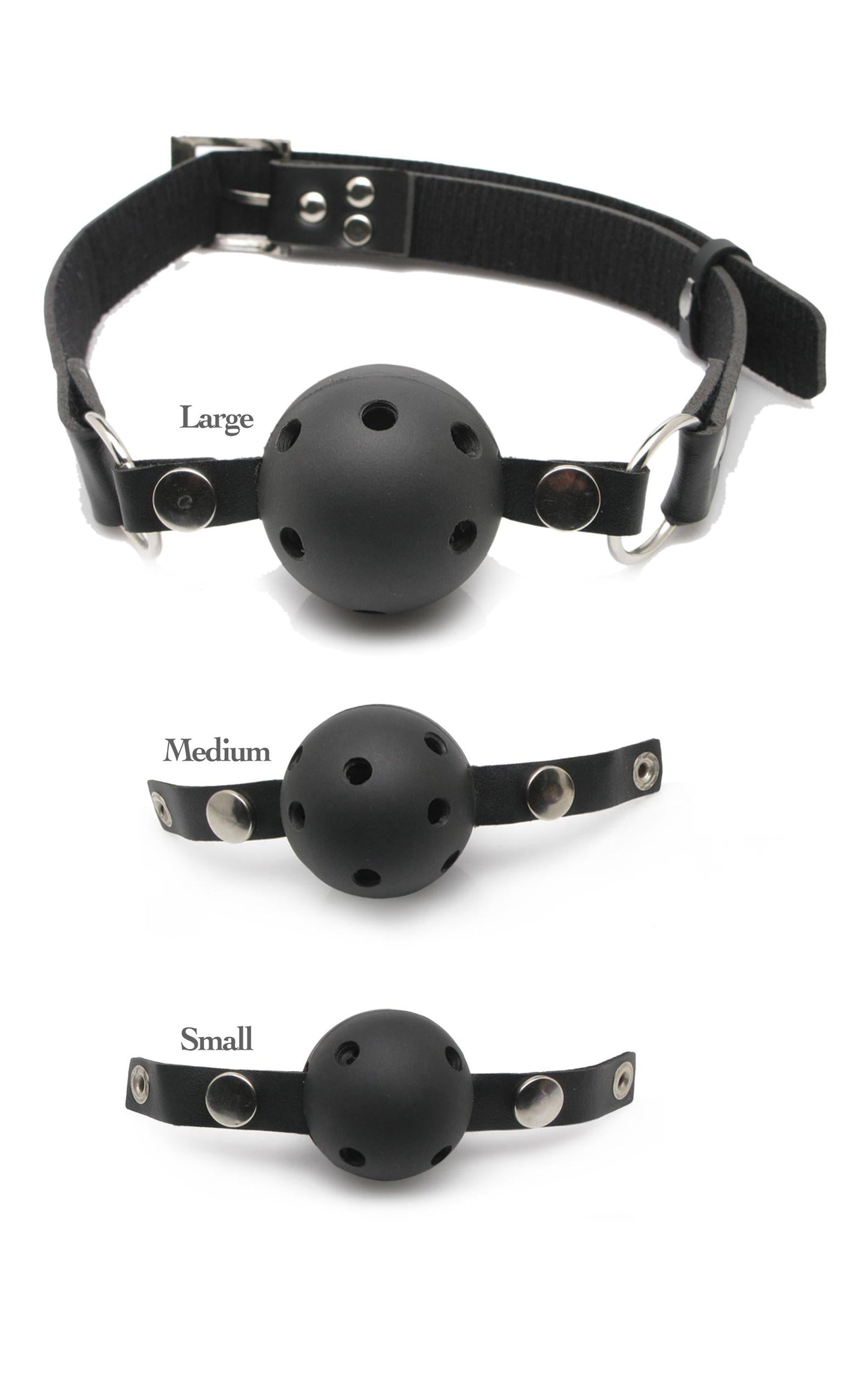 Fetish Fantasy Series Ball Gag Training System Pipedreams