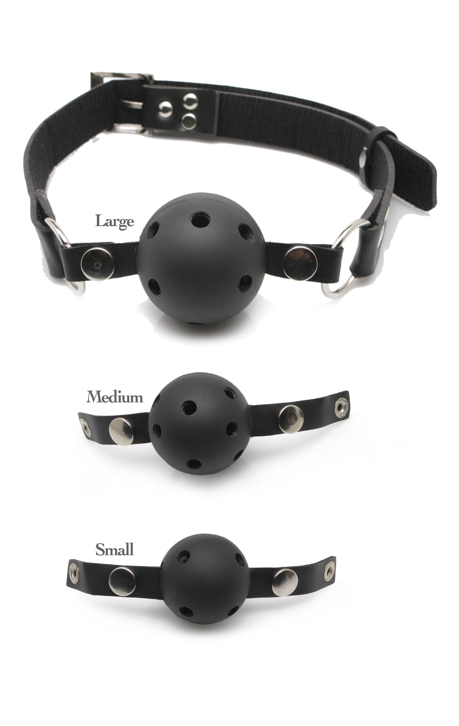 Fetish Fantasy Series Ball Gag Training System Pipedreams