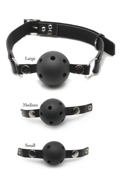 Fetish Fantasy Series Ball Gag Training System Pipedreams