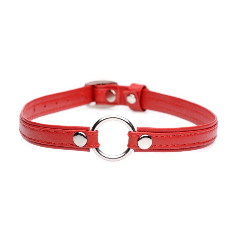 Fiery Pet Leather Choker w Silver Ring Red Master Series