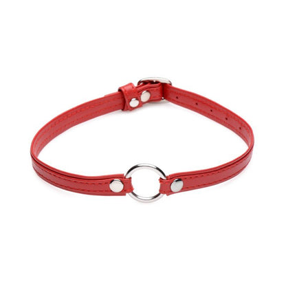 Fiery Pet Leather Choker w Silver Ring Red Master Series