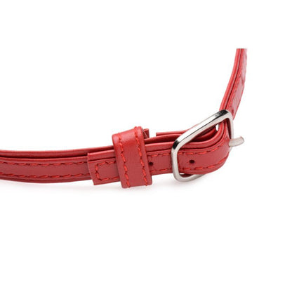Fiery Pet Leather Choker w Silver Ring Red Master Series