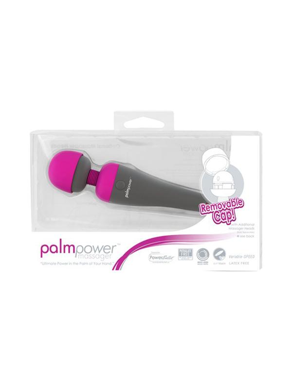 PalmPower Massage Wand BMS