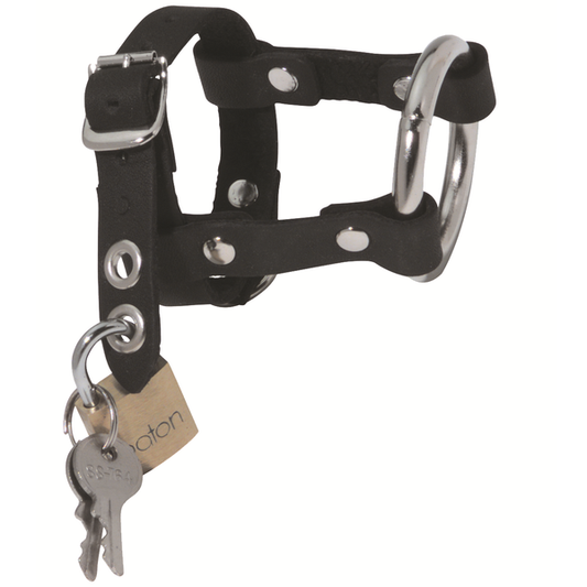 Locking Cock And Ball Harness  - Club X