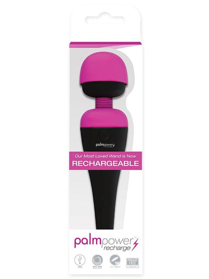 PalmPower Massage Wand Recharge Waterproof BMS