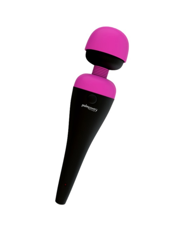 PalmPower Massage Wand Recharge Waterproof BMS
