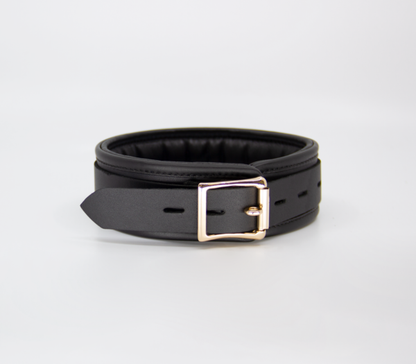 Col048 Leather Collar With Coloured Hardware  - Club X