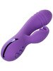 California Dreaming West Coast Wave Rider CalExotics