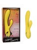 California Dreaming San Diego Seduction Vibrator CalExotics