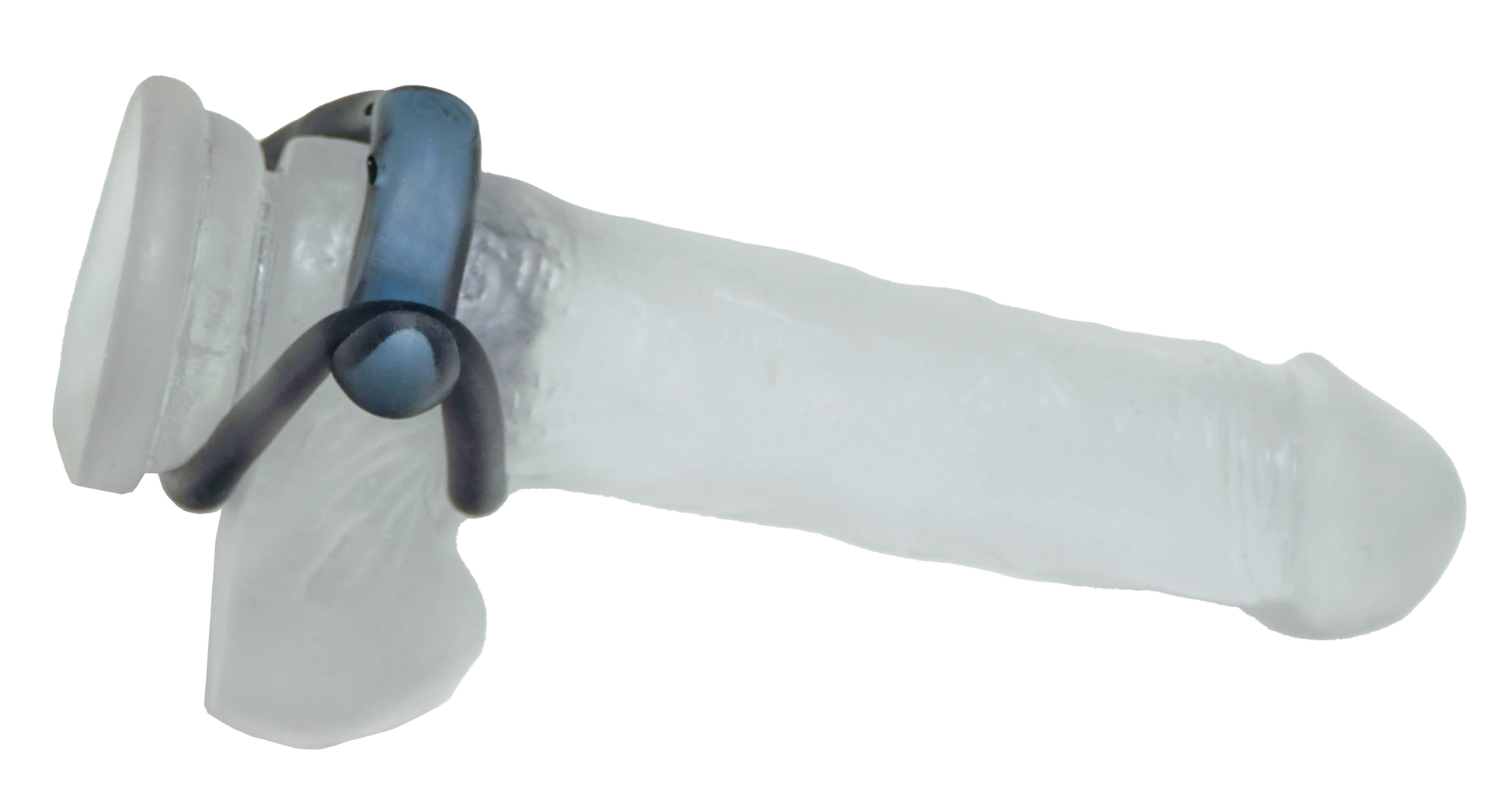 FirmTech MaxPR FirmTech