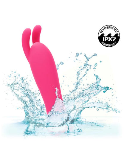 Kyst Bunny CalExotics