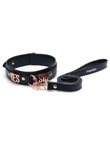 BMS Factory Punishment Rose Gold Yes Sir Collar and Leash - ClubX Australia