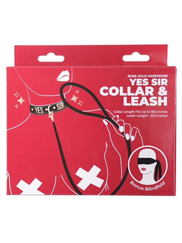 Punishment Rose Gold Yes Sir Collar and Leash BMS Factory