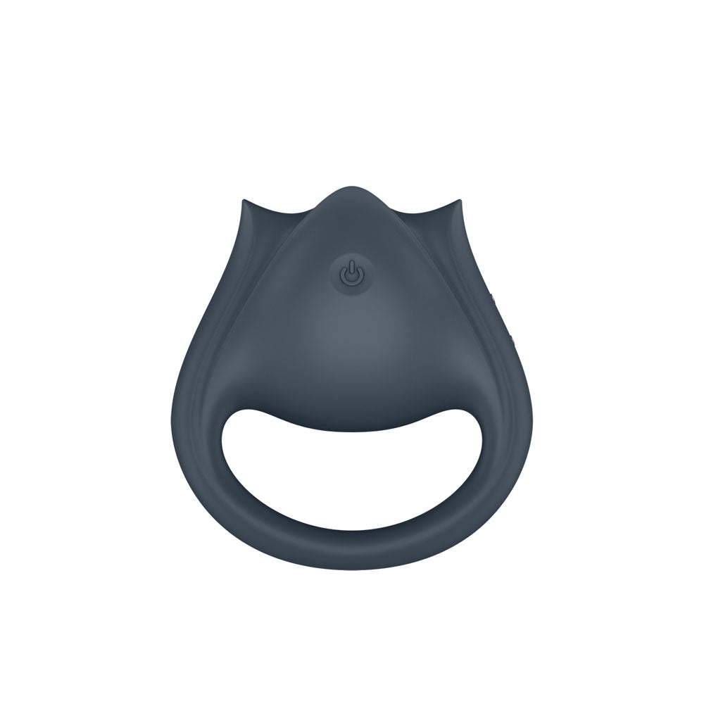 Satisfyer Perfect Pair 2 - Grey USB Rechargeable Vibrating Couples Ring Satisfyer