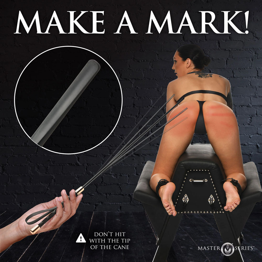 Master Series Sinful Impact Cane - Black Plastic Cane Whip XR Brands