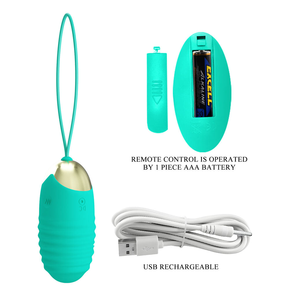 Party Up IAN Remote Egg - Teal - Teal USB Rechargeable Vibrating Egg with Wireless Remote Party Up
