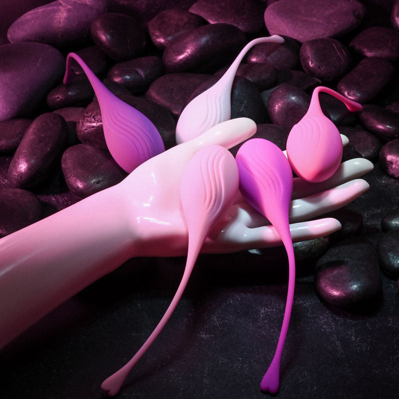Evolved TIGHT & DELIGHT - Kegel Trainer Set - 5 Piece Kit Evolved