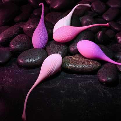 Evolved TIGHT & DELIGHT - Kegel Trainer Set - 5 Piece Kit Evolved