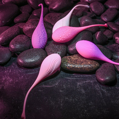 Evolved TIGHT & DELIGHT - Kegel Trainer Set - 5 Piece Kit Evolved