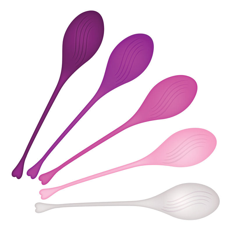 Evolved TIGHT & DELIGHT - Kegel Trainer Set - 5 Piece Kit Evolved