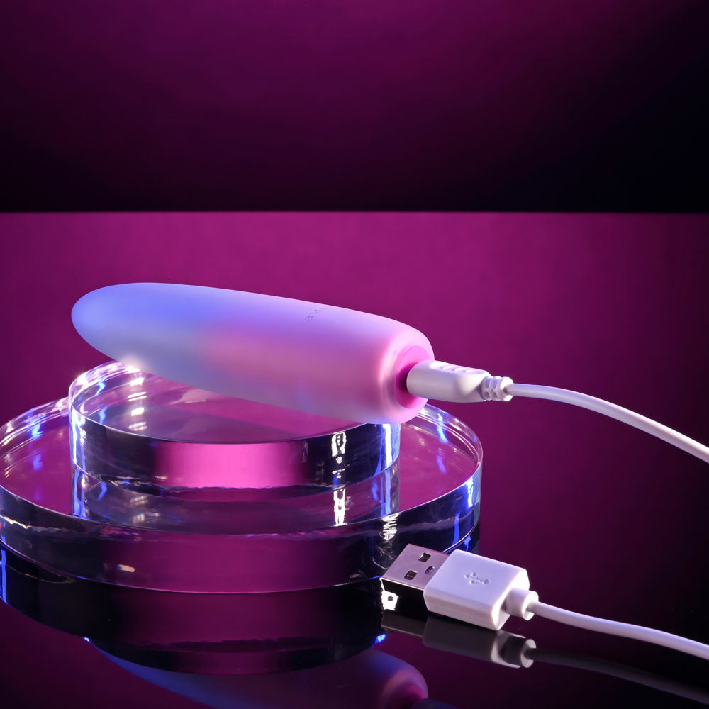 Evolved PARADISE BULLET - Pink/Purple 10.2 cm USB Rechargeable Bullet Evolved