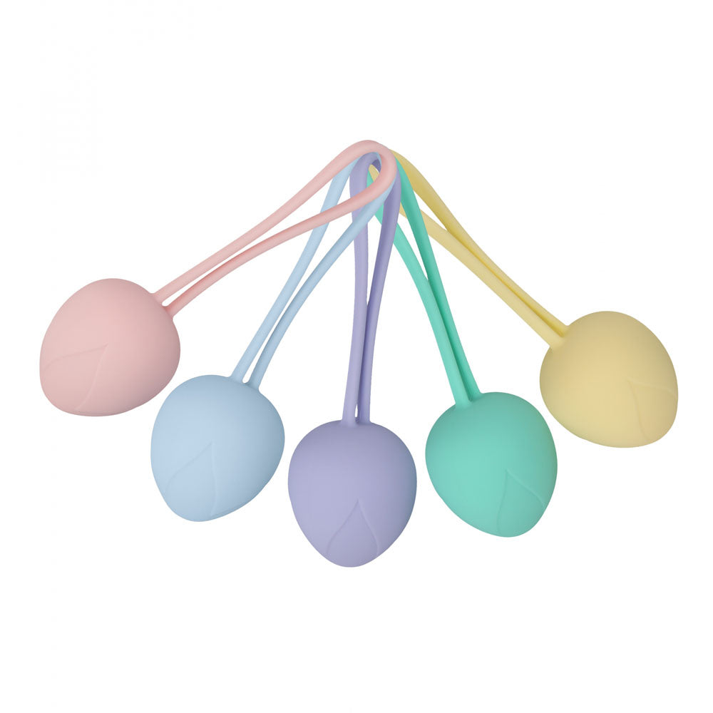 LOVELINE PelviFit Berry - Coloured Kegel Kit - Set of 5 Sizes Shots Toys