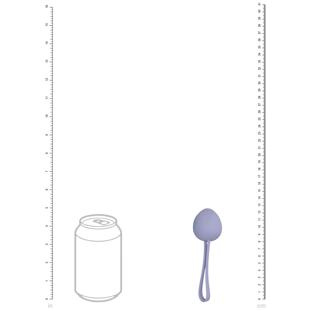 LOVELINE PelviFit Berry - Coloured Kegel Kit - Set of 5 Sizes Shots Toys