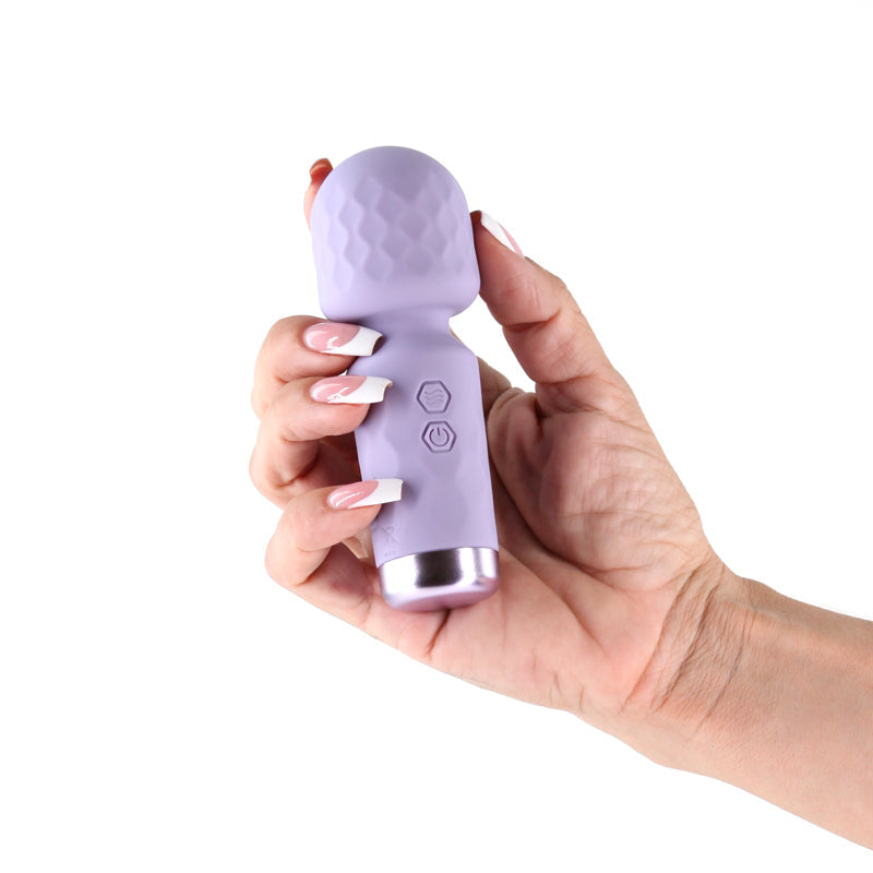 Lust-n-Dreams - Salsa - Lavender - Lavender 11.5 cm USB Rechargeable Mini Massage Wand NS Novelties