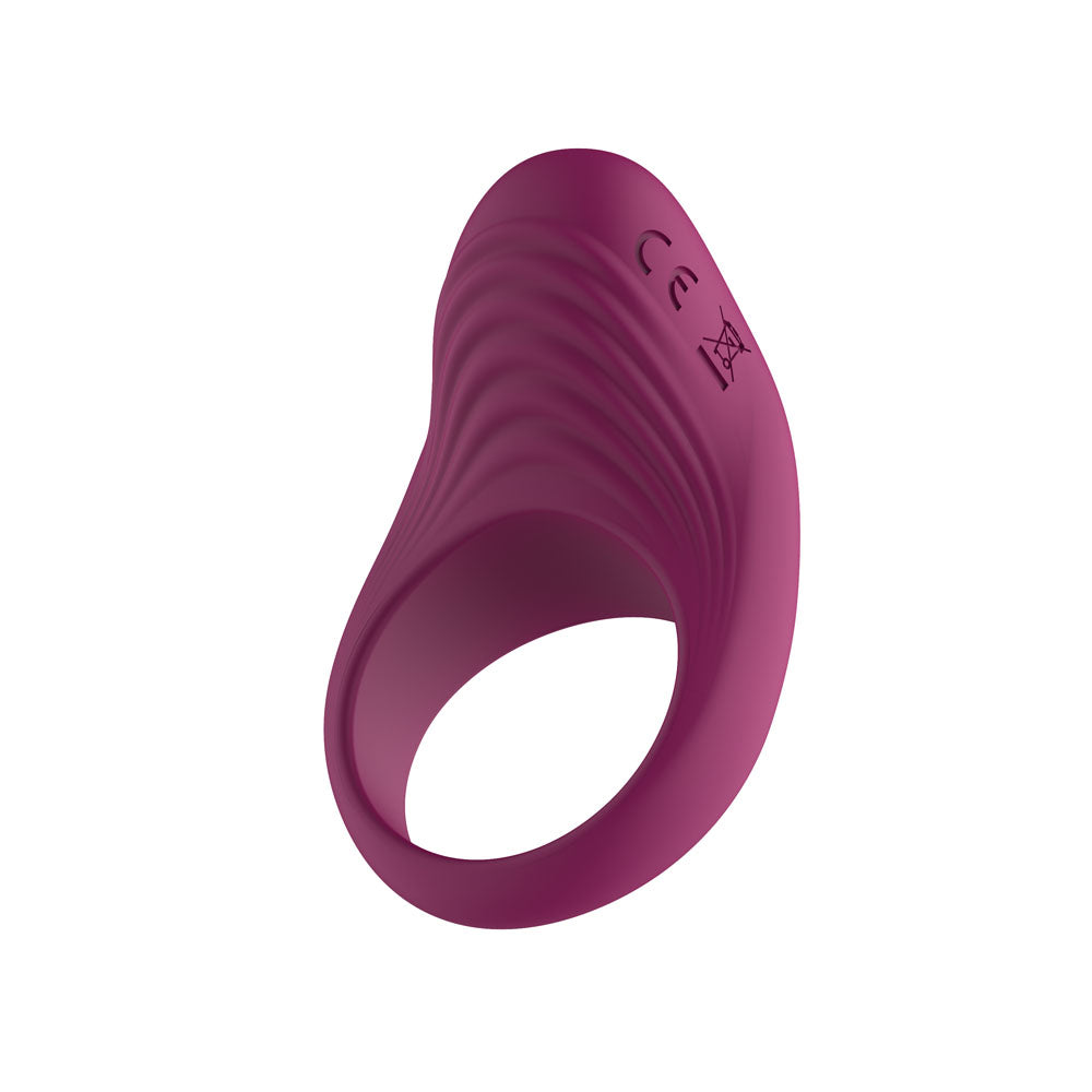 Passion Play Silicone Vibrating Cockring - Purple USB Rechargeable Penis Ring Passion Play