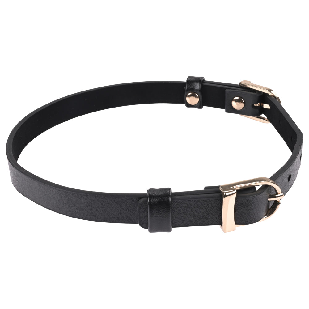 Sex & Mischief Double Buckle Day Collar - Black Collar Sportsheets