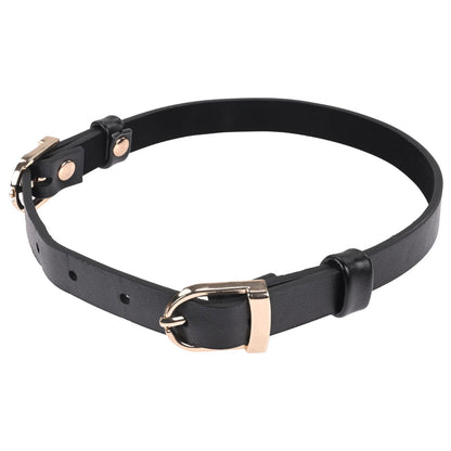 Sex & Mischief Double Buckle Day Collar - Black Collar Sportsheets