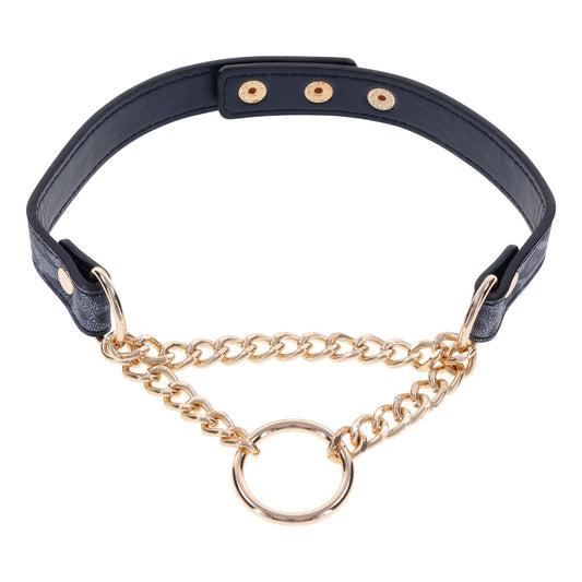 Sex & Mischief Cougar Day Collar - Navy Blue/Gold Collar Blue - Club X
