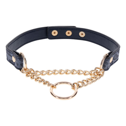 Sex & Mischief Cougar Day Collar - Navy Blue/Gold Collar Sportsheets