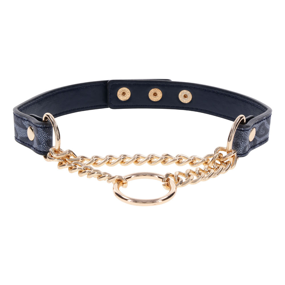 Sex & Mischief Cougar Day Collar - Navy Blue/Gold Collar Sportsheets
