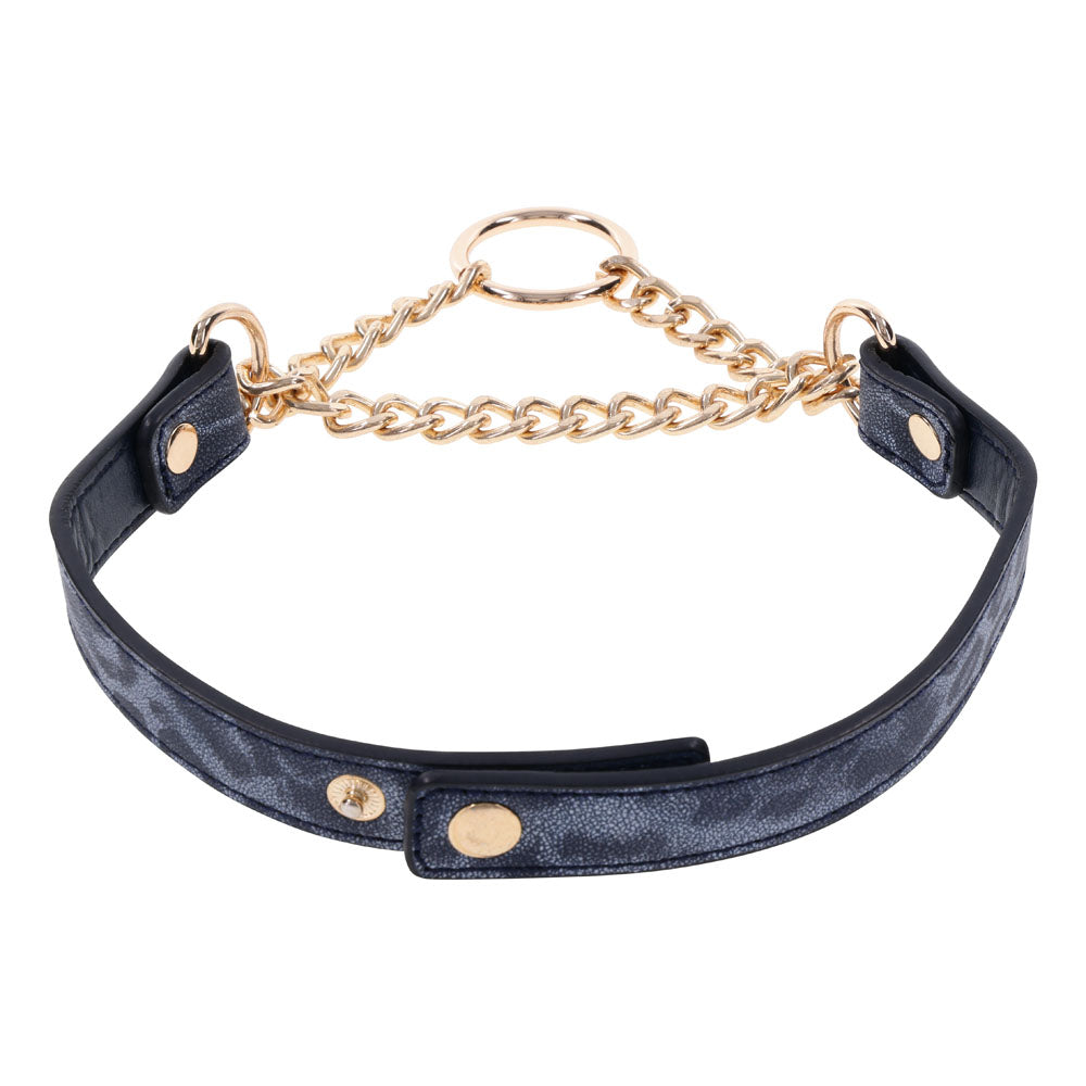 Sex & Mischief Cougar Day Collar - Navy Blue/Gold Collar Sportsheets