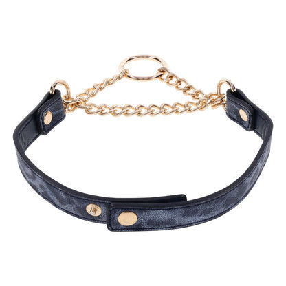 Sex & Mischief Cougar Day Collar - Navy Blue/Gold Collar Sportsheets