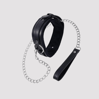 Collars & Leashes