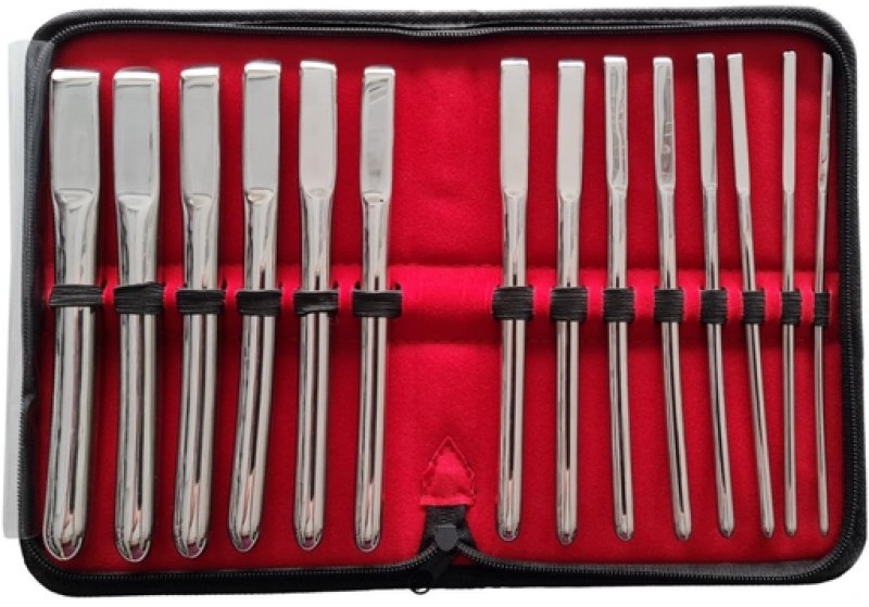Rouge Stainless Steel Hegar Uterine Dilator 14 Piece Set Rouge
